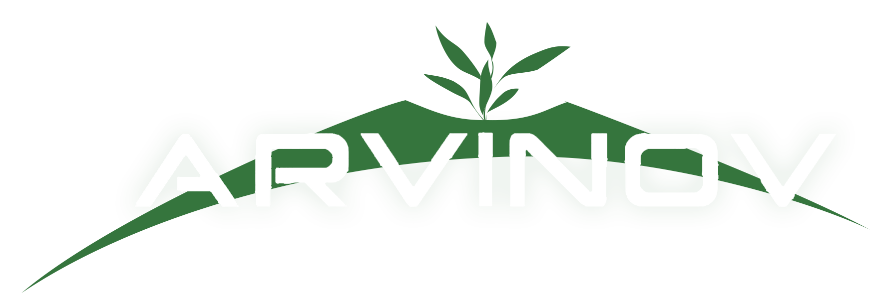 Logo Arvinov - Conseil en Stratégie Commerciale